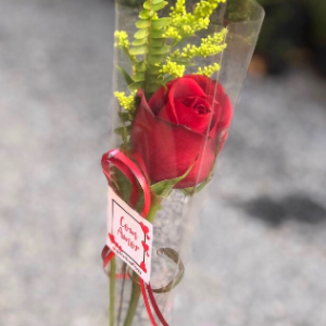 Botão de Rosa unitário presente 💝